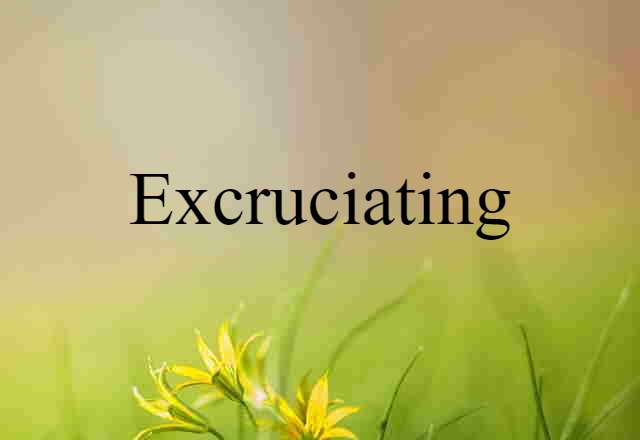 Excruciating (noun) Definition, Meaning & Examples