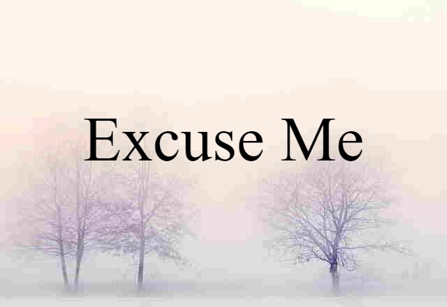 Excuse-me (noun) Definition, Meaning & Examples