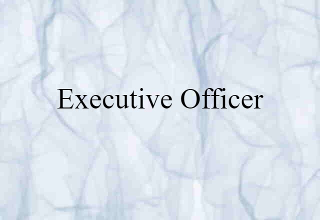 Executive Officer (noun) Definition, Meaning & Examples