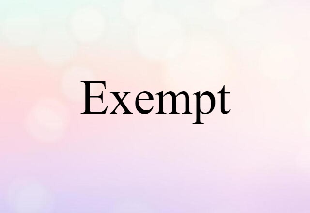 Exempt (noun) Definition, Meaning & Examples