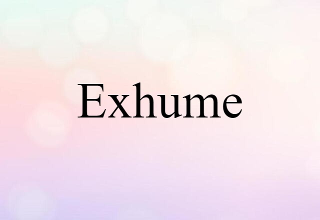 Exhume (noun) Definition, Meaning & Examples