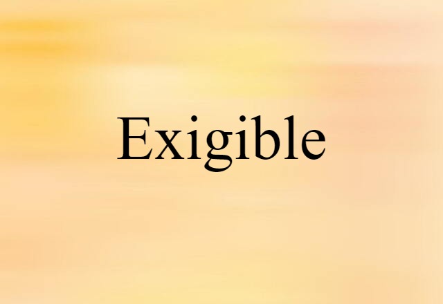 Exigible (noun) Definition, Meaning & Examples