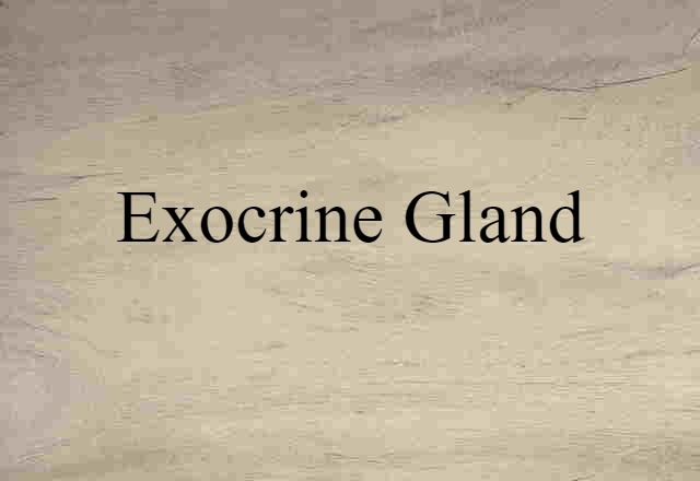 exocrine gland