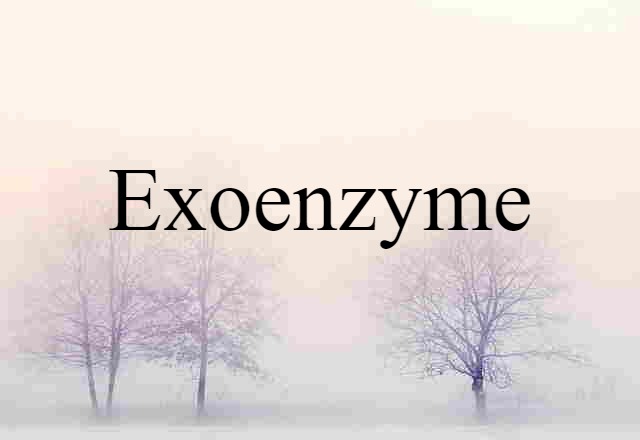 Exoenzyme (noun) Definition, Meaning & Examples