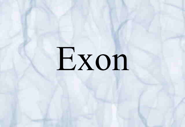 Exon (noun) Definition, Meaning & Examples