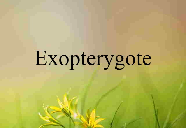 Exopterygote (noun) Definition, Meaning & Examples