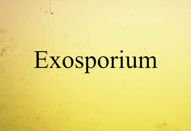 Exosporium (noun) Definition, Meaning & Examples