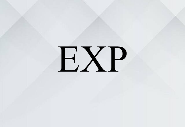 EXP (noun) Definition, Meaning & Examples