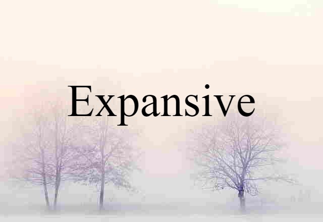 Expansive (noun) Definition, Meaning & Examples