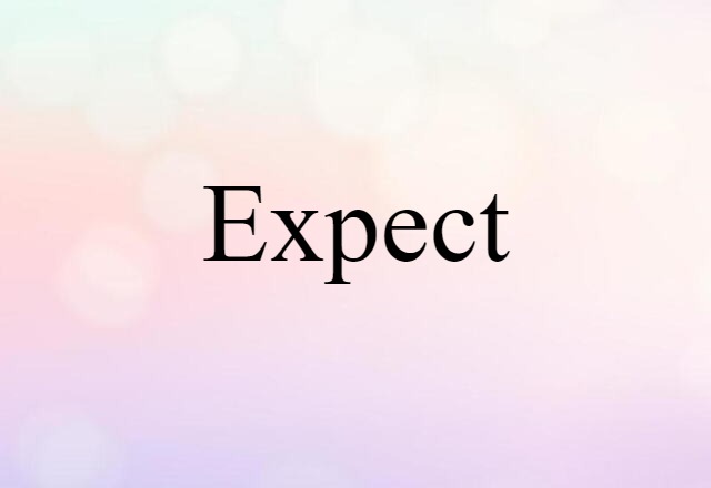 Expect (noun) Definition, Meaning & Examples