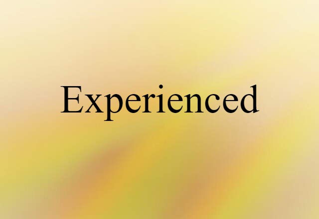 Experienced (noun) Definition, Meaning & Examples