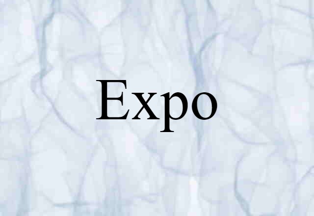 Expo (noun) Definition, Meaning & Examples