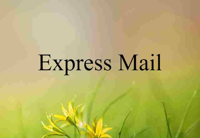 Express Mail