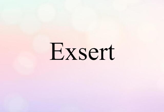 Exsert (noun) Definition, Meaning & Examples