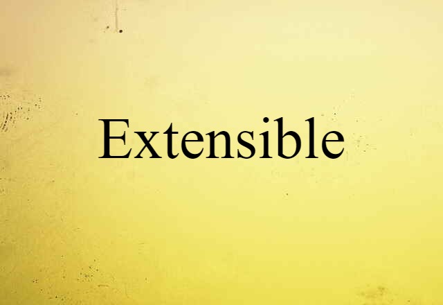 Extensible (noun) Definition, Meaning & Examples