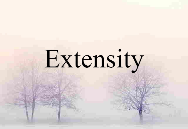 Extensity (noun) Definition, Meaning & Examples