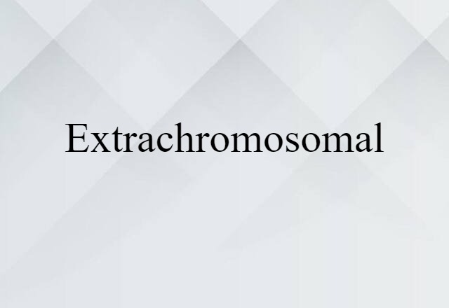 Extrachromosomal (noun) Definition, Meaning & Examples