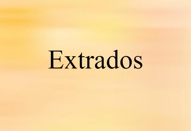 extrados