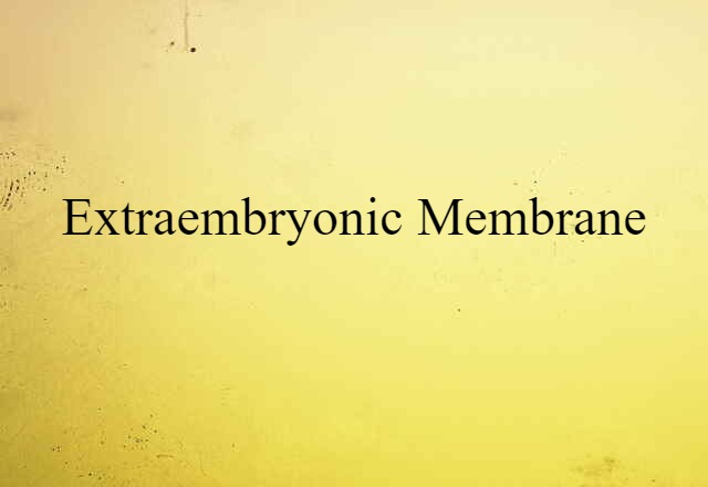 extraembryonic membrane