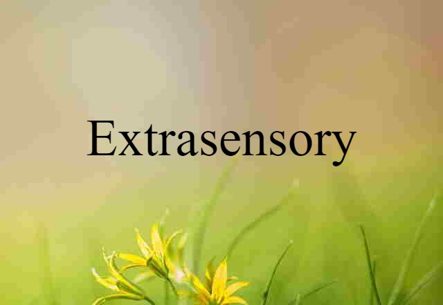 Extrasensory (noun) Definition, Meaning & Examples