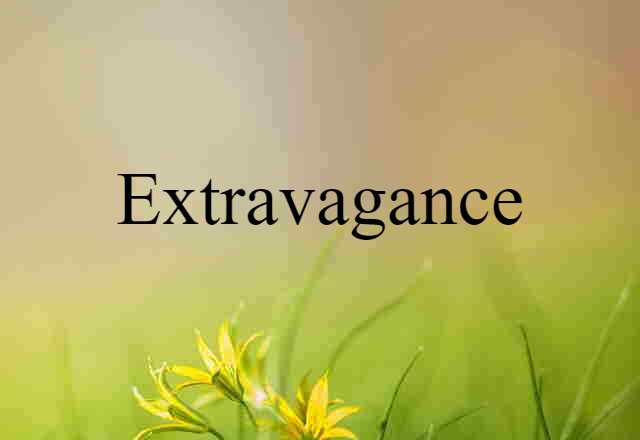 Extravagance (noun) Definition, Meaning & Examples