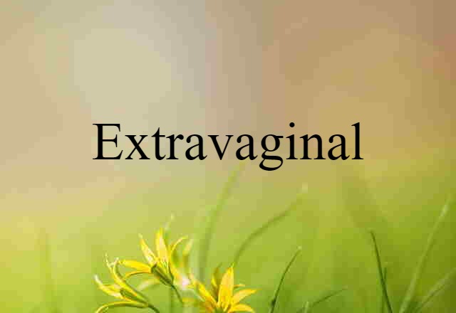 extravaginal