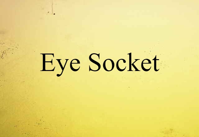 Eye Socket (noun) Definition, Meaning & Examples