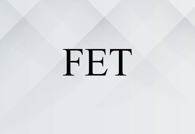 FET (noun) Definition, Meaning & Examples