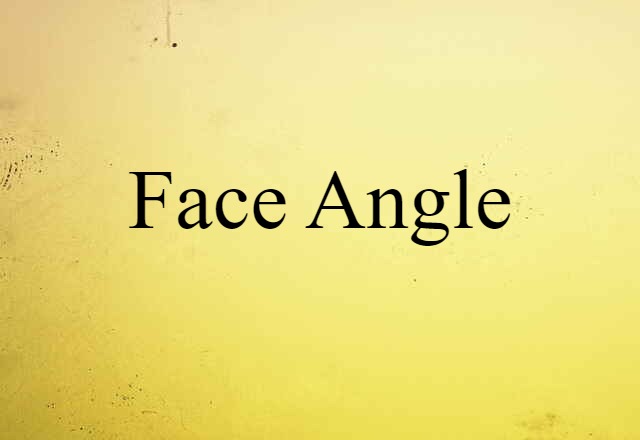 Face Angle (noun) Definition, Meaning & Examples