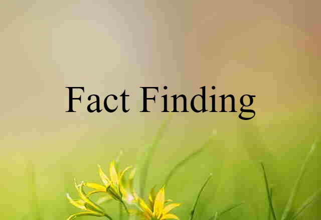 Fact-finding (noun) Definition, Meaning & Examples