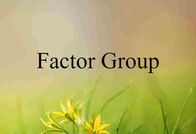 factor group