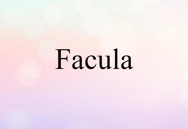 Facula (noun) Definition, Meaning & Examples