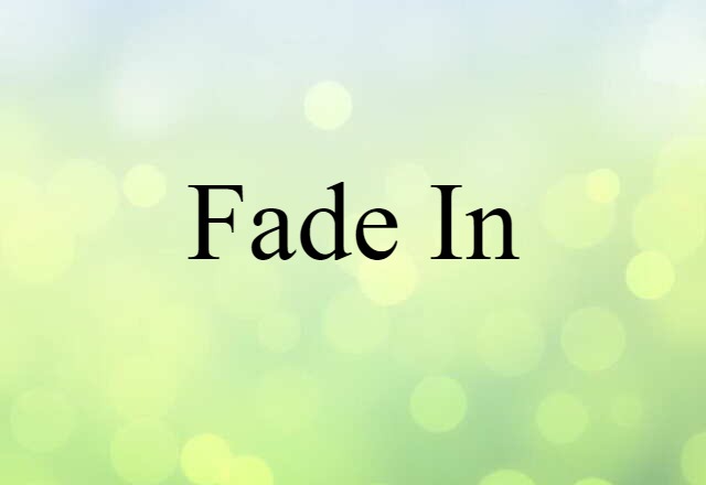 fade-in