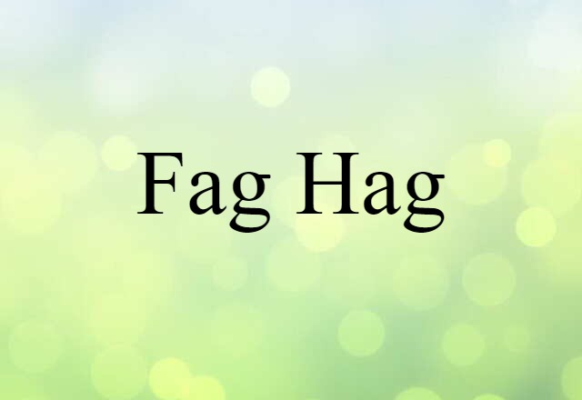 Fag Hag (noun) Definition, Meaning & Examples