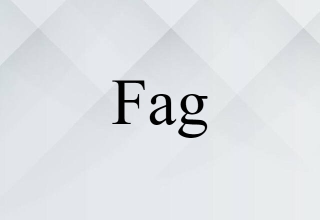 Fag (noun) Definition, Meaning & Examples