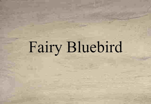 fairy bluebird