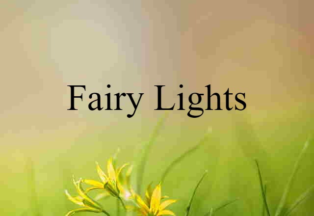 Fairy Lights (noun) Definition, Meaning & Examples