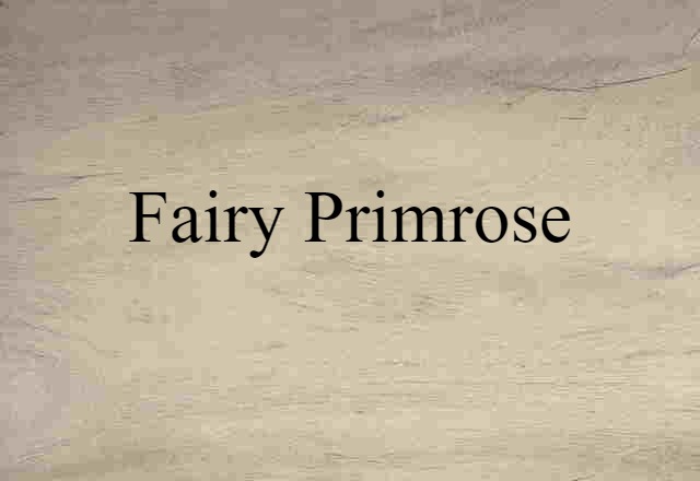 Fairy Primrose (noun) Definition, Meaning & Examples