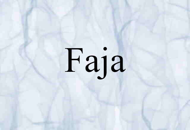 Faja (noun) Definition, Meaning & Examples