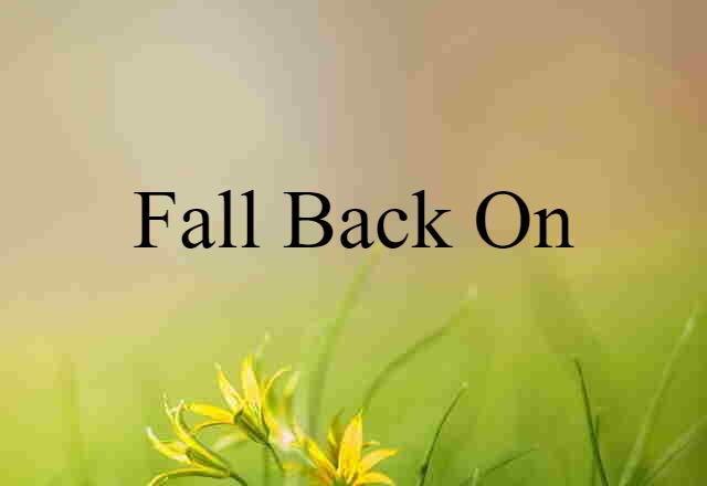 Fall Back On (noun) Definition, Meaning & Examples