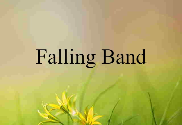 Falling Band (noun) Definition, Meaning & Examples