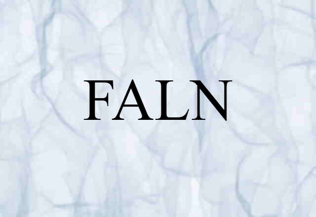 FALN (noun) Definition, Meaning & Examples