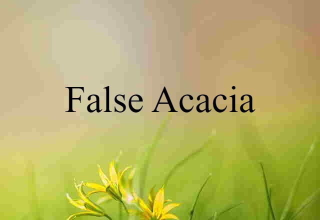 False Acacia (noun) Definition, Meaning & Examples