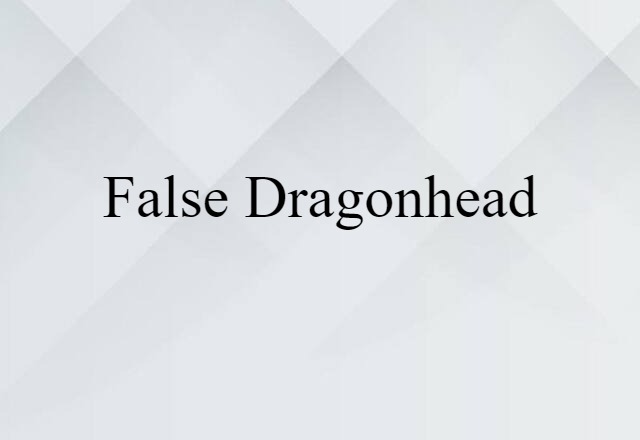 false dragonhead