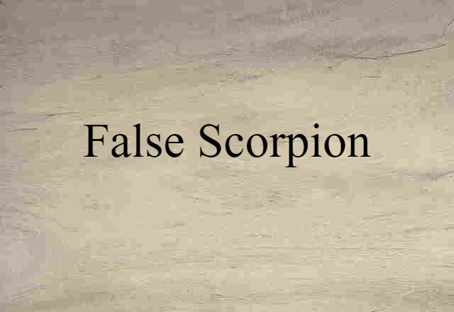 False Scorpion (noun) Definition, Meaning & Examples