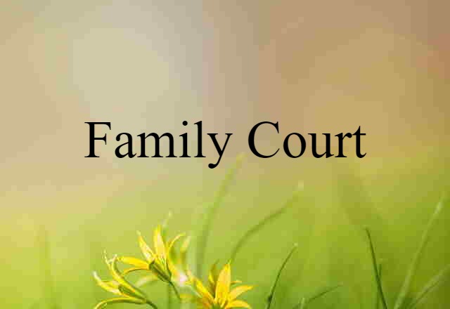 Family Court (noun) Definition, Meaning & Examples