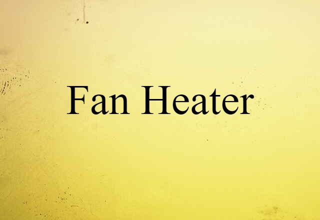 Fan Heater (noun) Definition, Meaning & Examples