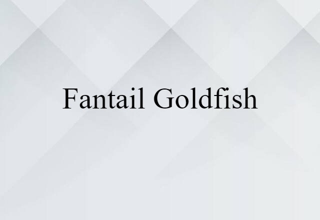 Fantail Goldfish (noun) Definition, Meaning & Examples