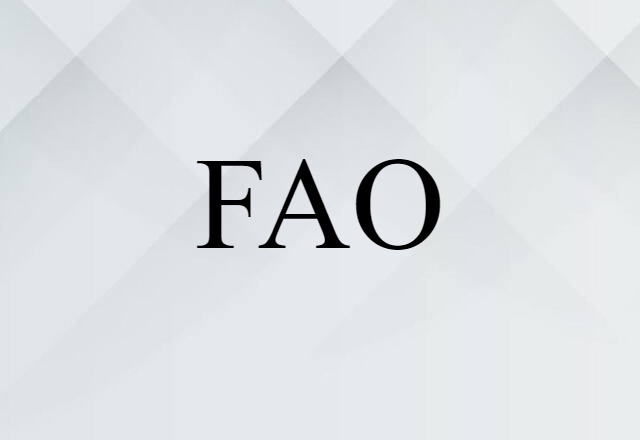 FAO (noun) Definition, Meaning & Examples