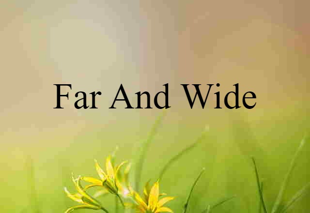 Far And Wide (noun) Definition, Meaning & Examples